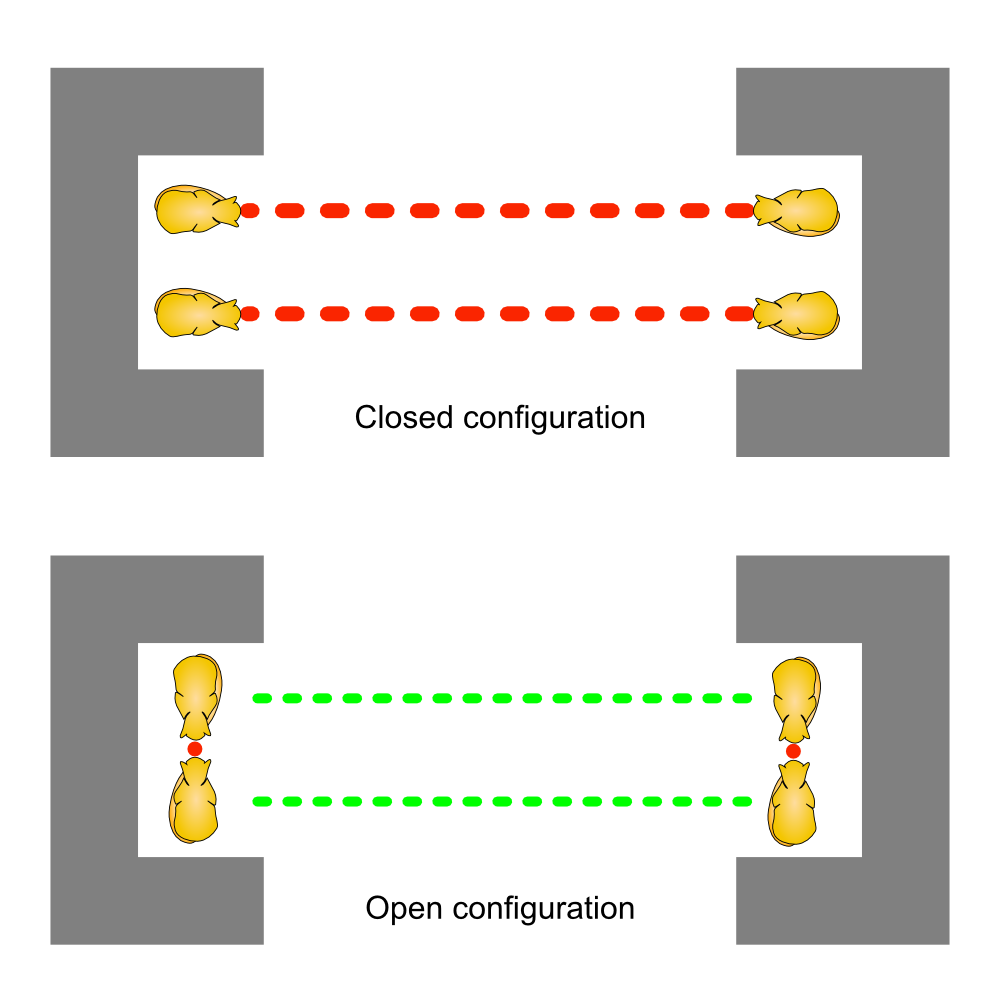 scp-531 gate.png
